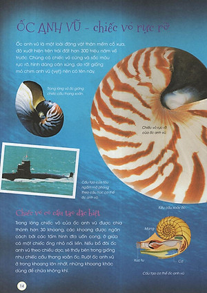 Sách Động Vật Xinh Đẹp