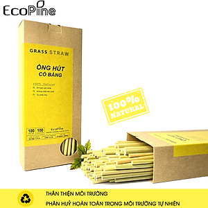Hộp 100 Ống Hút Cỏ Bàng Ecopine Dài 20 cm - Dùng Được Cho Tất Cả Các Loại Thức Uống