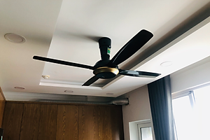 Quạt trần Panasonic F-56XPG 4 cánh có điều khiển - Hàng chính hãng