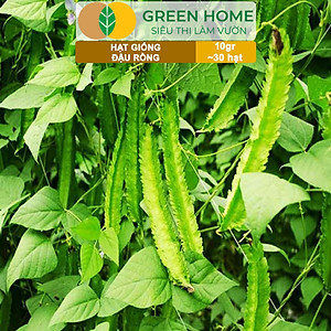 Hạt Giống Đậu Rồng Greenhome, Gói 10gr~30 hạt, Dễ Trồng Quanh Năm, Nảy Mầm Cao, Thu Hoạch Nhanh, Năng Suất Cao T08