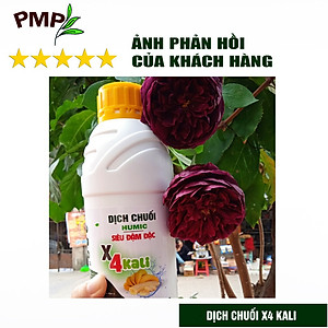 Phân Bón Hoa Hồng Combo Phân Đậu Nành Soymic - Dịch Chuối Humic ( 2 Chai x 1 L)