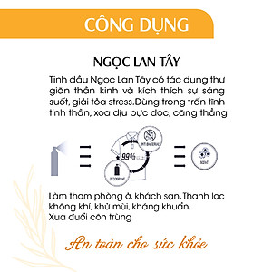 Xịt Phòng Tinh Dầu Ngọc Lan Tây Hữu Cơ Organic  24Care 50ML/100ML - Kháng khuẩn - Khử mùi hôi - Đuổi muỗi, côn trùng - Tạo không gian lãng mạn, hẹn hò - Hương thơm thư giãn.