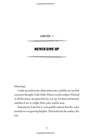 Sách Minecraft : The Island (An Official Minecraft Novel)