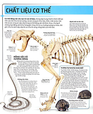 Sách Các Siêu Sao Trong Giới Động Vật