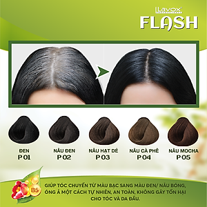 GEL GỘI PHỦ BẠC FLASH 200ML ( P02 - NÂU ĐEN)