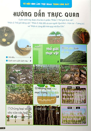 Sách Từ Điển Hình Ảnh Trực Quan: Trong Lòng Đất