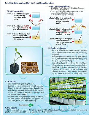 Bộ 1 chậu trồng rau ăn lá thủy canh tĩnh Growbox Leafy Kit 1 Hợp Trí Không bao gồm phân bón thủy canh