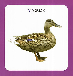 Từ Điển Hình Ảnh Cho Bé: Động Vật (Tái Bản 2019)