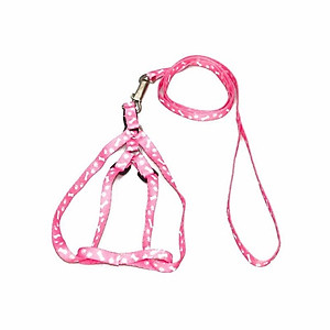 Dây dắt bản mỏng cho chó mèo 1.0 (màu ngẫu nhiên)