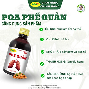 Siro Phế Quản PQA Thành Phần Từ Thiên Nhiên Giúp Bổ Phế, Ho Hộp 250ml