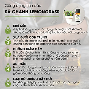 Combo 3 Tinh Dầu Xông Phòng Kháng Khuẩn Sả Chanh, Cam Ngọt, Oải Hương Kobi Giúp Khử Trùng, Thanh Lọc Không Khí, Khử Mùi, Đuổi Muỗi Nguyên Chất (30ml/Lọ)