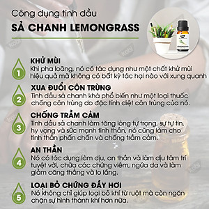 Tinh Dầu Sả Chanh Đuổi Muỗi Kobi, Dùng Lau Sàn Nhà, Giúp Khử Mùi, Thơm Phòng (5ml)