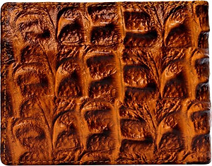 Bộ Ví & Thắt Lưng Nam Vân Cá Sấu Huy Hoàng HT2116-HT4116 (23 x 11,5 cm) - Vàng