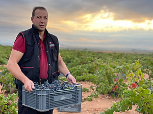 Rượu vang Organic Piqueras VS Monastrell & Garnacha Tintorera (Spain) kèm túi hộp,đồ khui