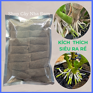 Phân Bón Kích Thích Ra Rể ORCHID Cho Hoa Lan, Cây Cảnh, Dưỡng Cây, Tan Chậm