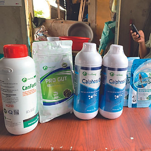 SIÊU TĂNG TRỌNG CHO TÔM CÁ CANFORTA