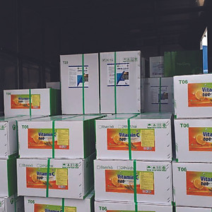 VITAMIN C TẠT - Vitamin chống sốc môi trường, giảm stress