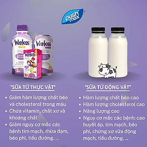 Thùng 24 Lon Sữa Chua Uống Từ Thực Vật Wakai Active (250ml x 24 lon)