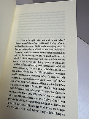 CHÁU TRAI WITTGENSTEIN - Thomas Bernhard – Phan Nhu dịch – Xuất bản Khác 