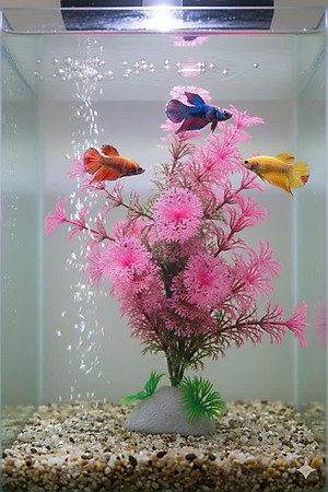 Cây Nhựa Trang Trí Bể Cá Thủy Sinh Lớn Tím Hồng Cao 20cm (Mã PK01)