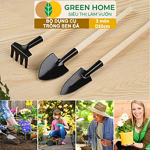 Dụng Cụ Làm Vườn Greenhome, 3 Món Gồm Xẻng Xúc Đất, Cào , Mini, Cán Gỗ, Tiện Lợi, Dễ Sử Dụng, Trồng Sen Đá, Tiểu Cảnh