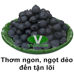 Máy làm tỏi đen Viaicom V7 màu vàng – Công nghệ Nhật – 2021 –  Hàng chính hãng