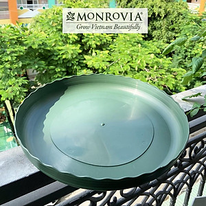Đĩa lót chậu nhựa trồng cây Monrovia chậu trồng cây, chậu cây cảnh mini, để bàn, treo ban công, treo tường, chính hãng