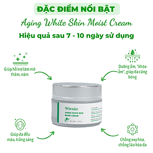 Kem dưỡng ẩm cho da dầu, da khô Wiesin Aging White Skin Moist Cream 30g - WS05