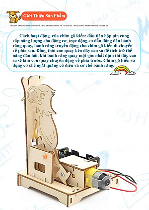 Bộ Đồ Chơi Lắp Ghép STEM Mô Hình Chim Gõ Kiến, Bộ Đồ Chơi Khoa Học Tự Làm Chim Gõ Kiến, Bộ Đồ Chơi Gỗ Cao Cấp Khoa Học Tự Làm DIY Wood Steam - Chính Hãng BABYBOSS.
