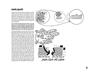 Phân Tích Khu Đất - Lập Sơ Đồ Thông Tin Cho Công Việc Thiết Kế Kiến Trúc