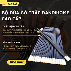 Bộ 10 đôi đũa gỗ trắc DandiHome cao cấp