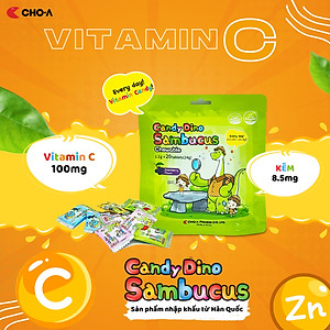 Kẹo Dino Sambucus Bổ Sung Kẽm Và Vitamin C Giúp Trẻ Ăn Ngon (20 viên/gói)