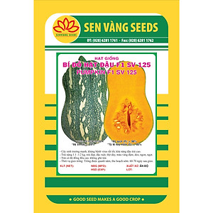 Hạt giống bí hạt đậu F1 dẻo ngọt gói VTS13