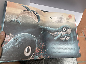 [Tái bản 2024 - bìa dẻo ] GERDA CÂU CHUYỆN CÁ VOI – GERDA CÂU CHUYỆN VỀ LÒNG DŨNG CẢM - San Hô Books (combo 2 cuốn)