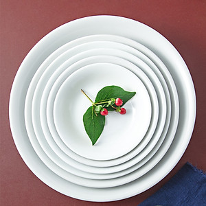 Đĩa ảo sứ Long Phương Đĩa sâu lòng dáng mới