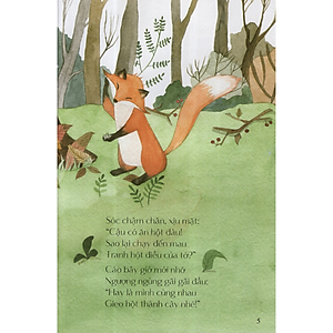 Sách Từ Những Hạt Mầm: Hột Điều Của Sóc