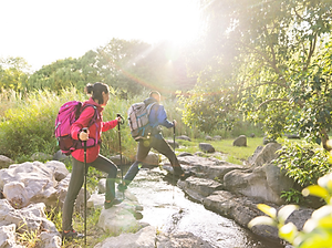 Gậy Leo Núi Dã Ngoại Gậy Trekking Có Thể Điều Chỉnh Độ Cao Làm Từ Hợp Kim Nhôm Chắc Chắn - Hãng dododios