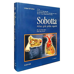 Sobotta Atlas Giải Phẫu Người