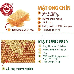 Combo 2 chai cùng loại Mật ong rừng nguyên chất Honimore Hoa Nhãn Cổ Thụ 500g