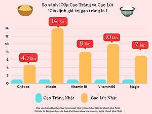 GẠO LỨT NHẬT HOKKAIDO YUMEPIRIKA 