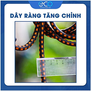 Dây Thun Ràng Hàng Có Móc Lõi Thép – Tăng Chỉnh Dài Ngắn – Buộc Hàng Xe Máy, Xe Ba Gác Cực Chắc Dài 2m, 3m, 4m