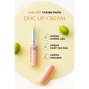 Son Dưỡng Môi DHC Lip Cream Nhật Bản 1,5g