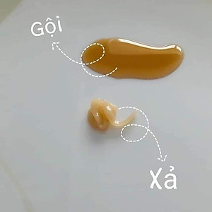 Bộ Dầu Gội và Xả Whoo Spa Shampoo & Rinse