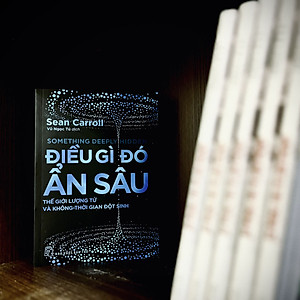Sách Điều gì đó ẩn sâu, Thế giới lượng tử và Không-thời gian đột sinh