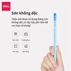 Bút chì lục giác Deli - loại 2B/HB - 30 chiếc/hộp - 58166 / 58167