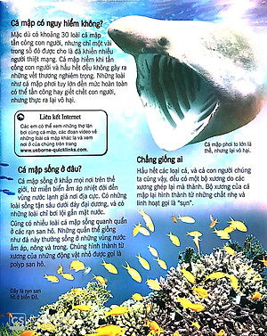 Sách Bách Khoa Tri Thức Về Khám Phá Thế Giới Cho Trẻ Em - Cá Mập (Tái Bản 2018)