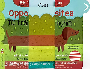 Sách Opposites - Từ Trái Nghĩa