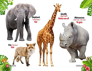 Sách Từ Điển Bằng Tranh - Thế Giới Động Vật