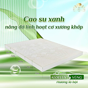 Nệm Cao Su Kim Cương 5 ZONE ALOE