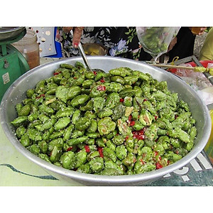 Cây cà na thái giống - Cà na tứ quý - cây ăn quả + tặng phân bón cho cây